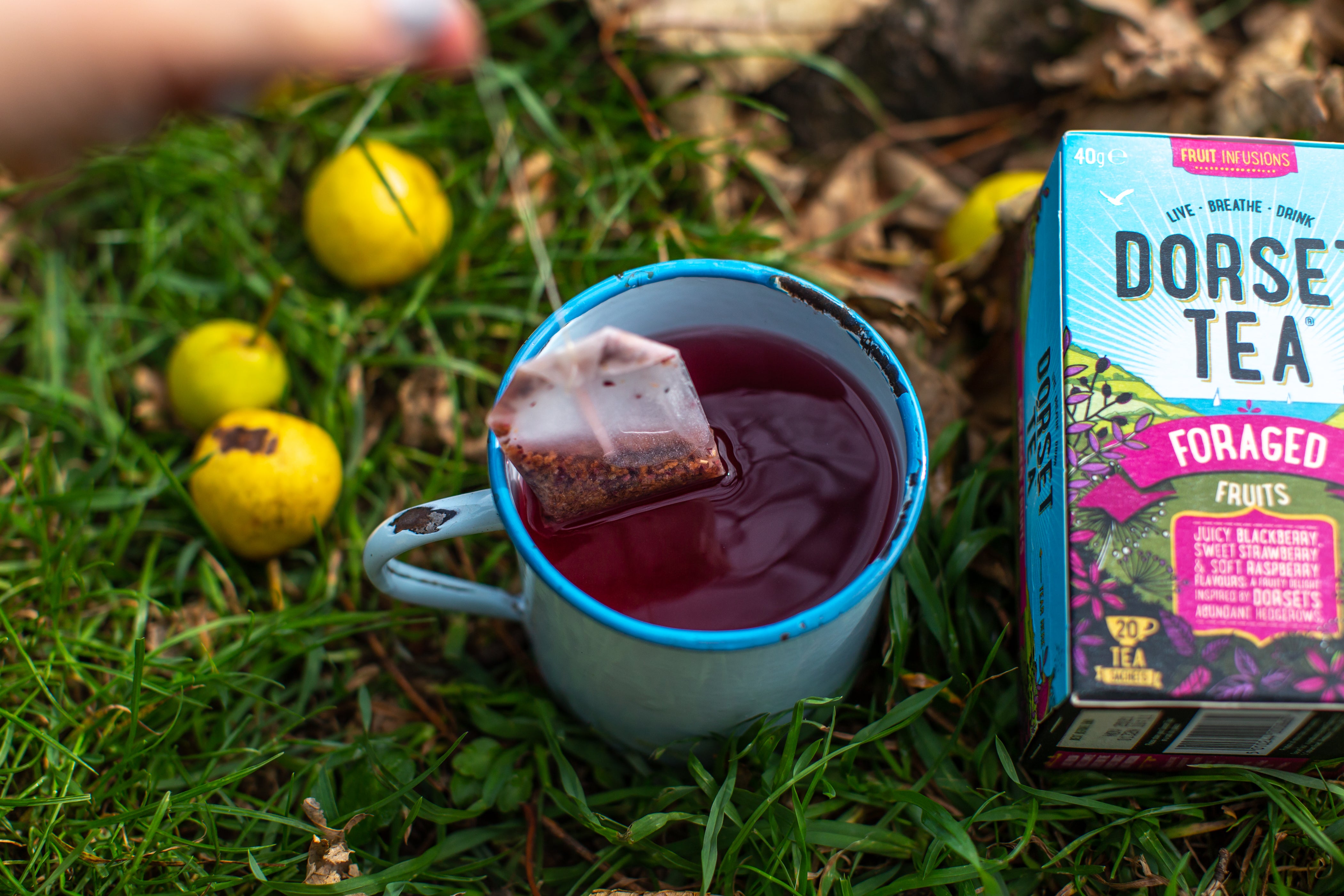 Dorset Tea Foraged Fruits