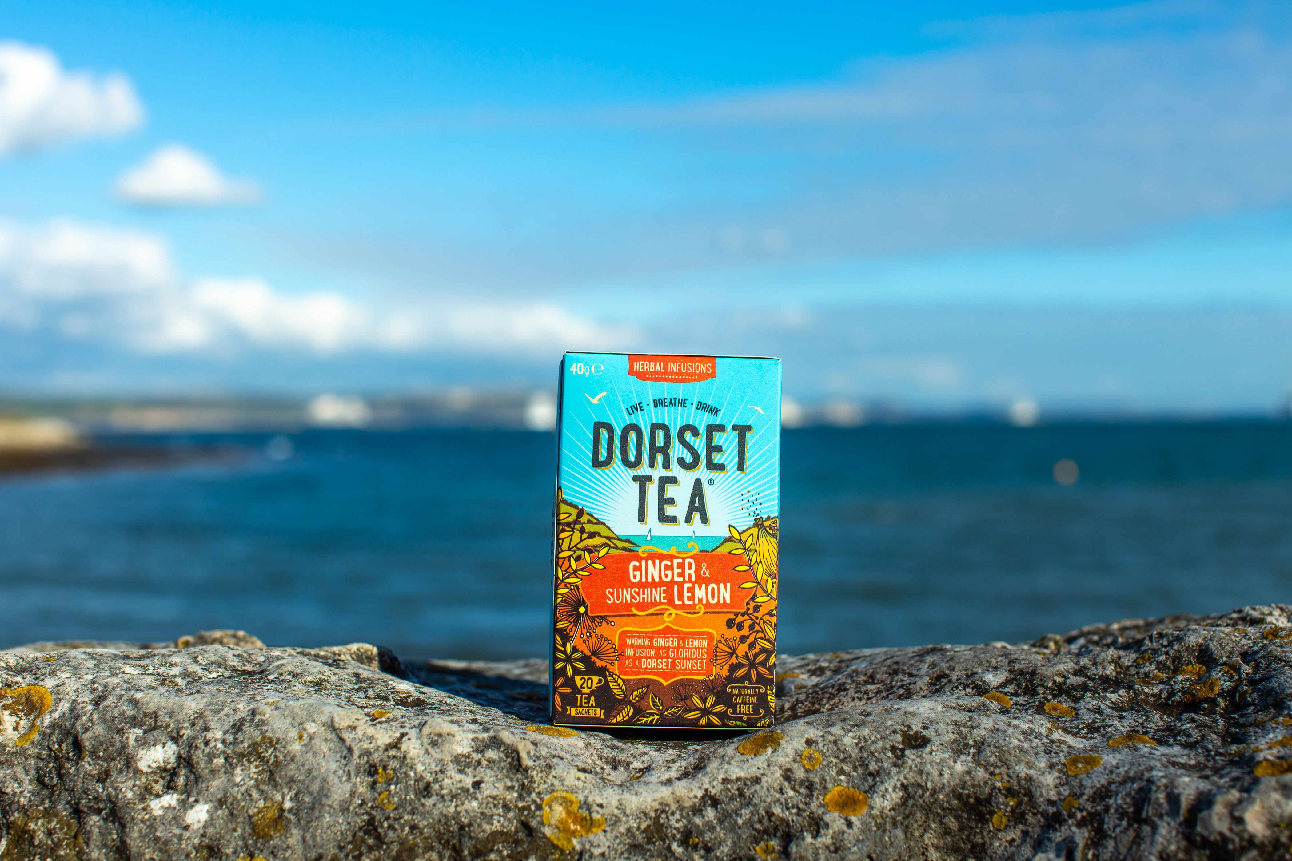 Dorset Tea Ginger & Sunshine Lemon
