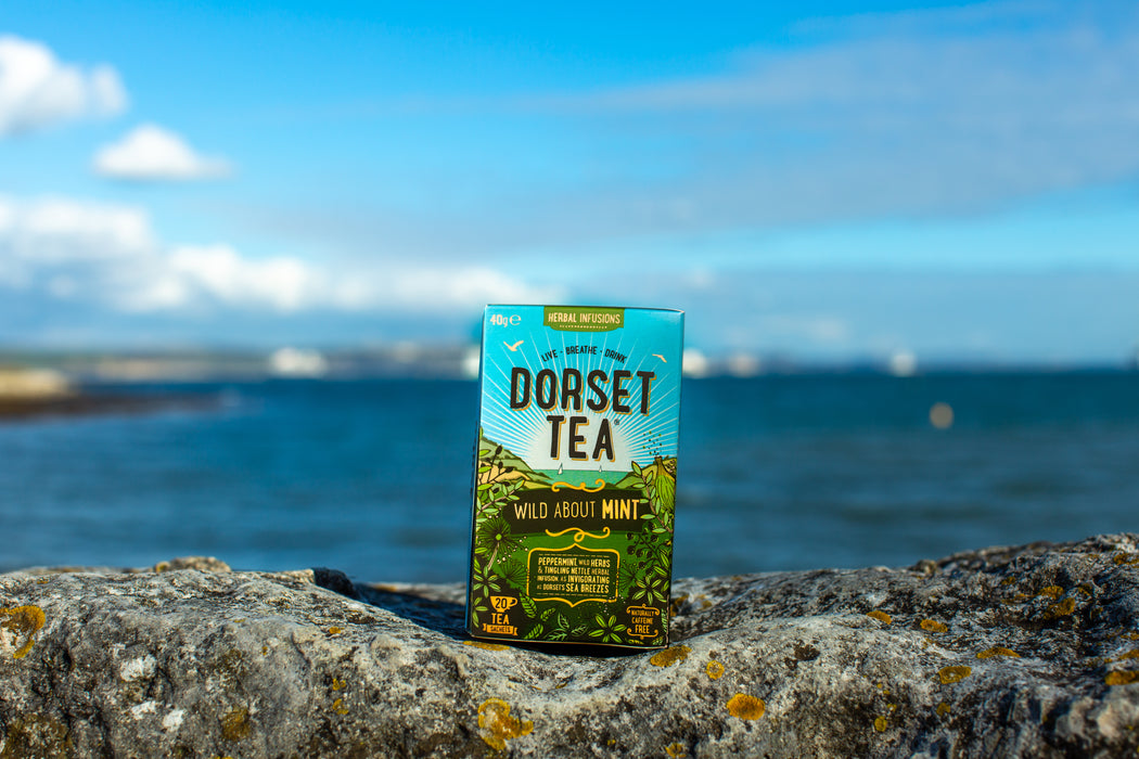 Dorset Tea Wild About Mint